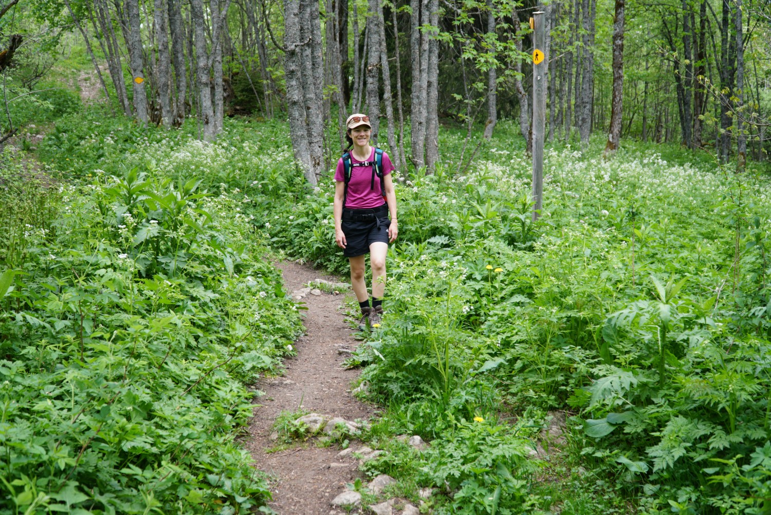 Dans une charmante forêt en direction de la Vue-des-Alpes. Photo: Mia Hofmann