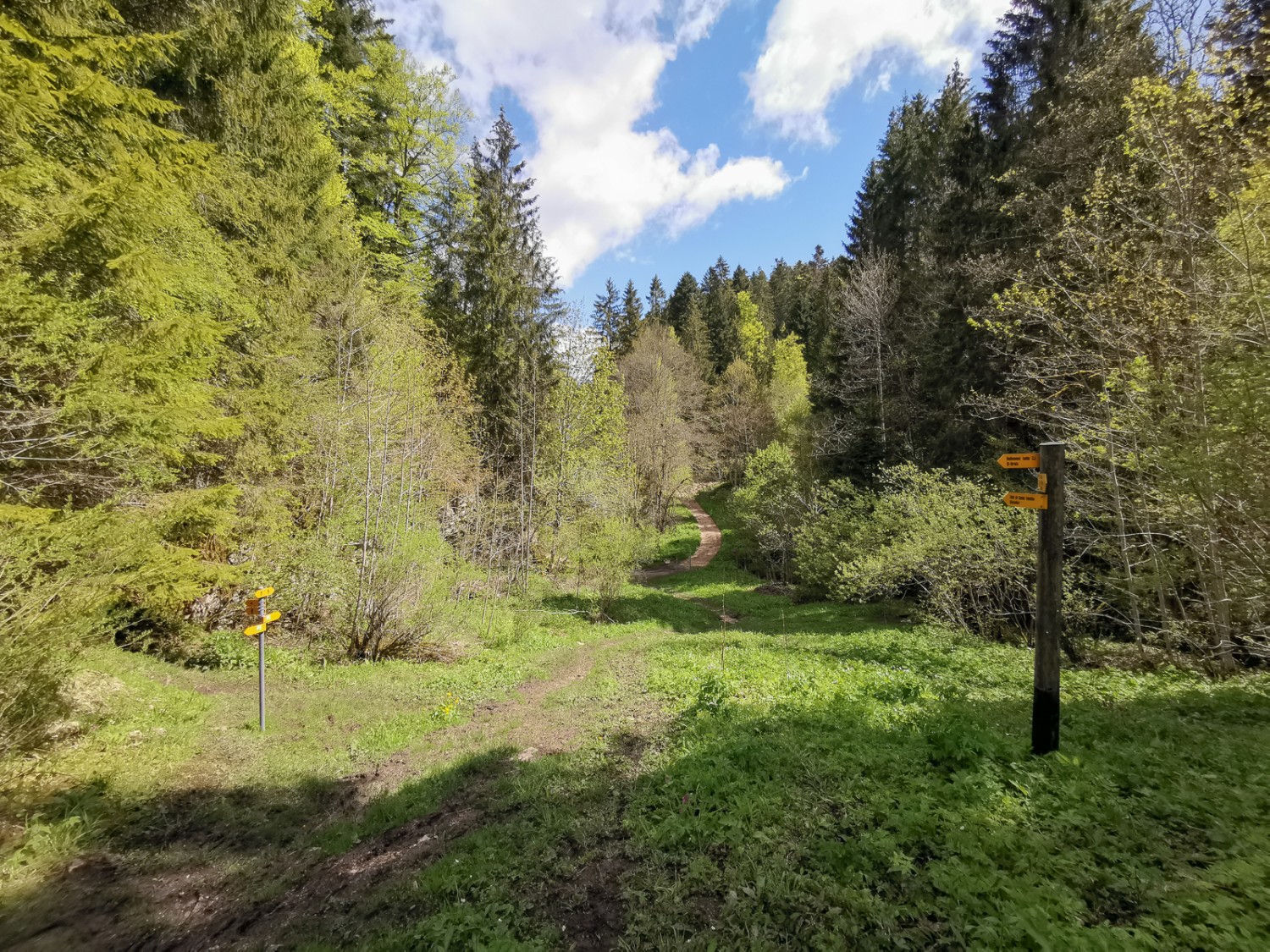 Chi si è stancato di camminare poco prima di addentrarsi nella gola del Tabeillon può prendere il treno alla fermata di Bollement. Foto: Evelyne Zaugg