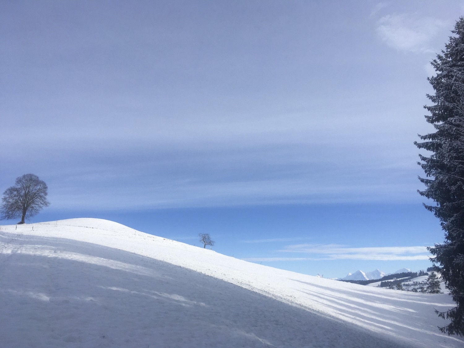 Sonne tanken bei Borisried mit Ausblick auf Eiger, Mönch und Jungfrau. Bild: Jürg Steiner