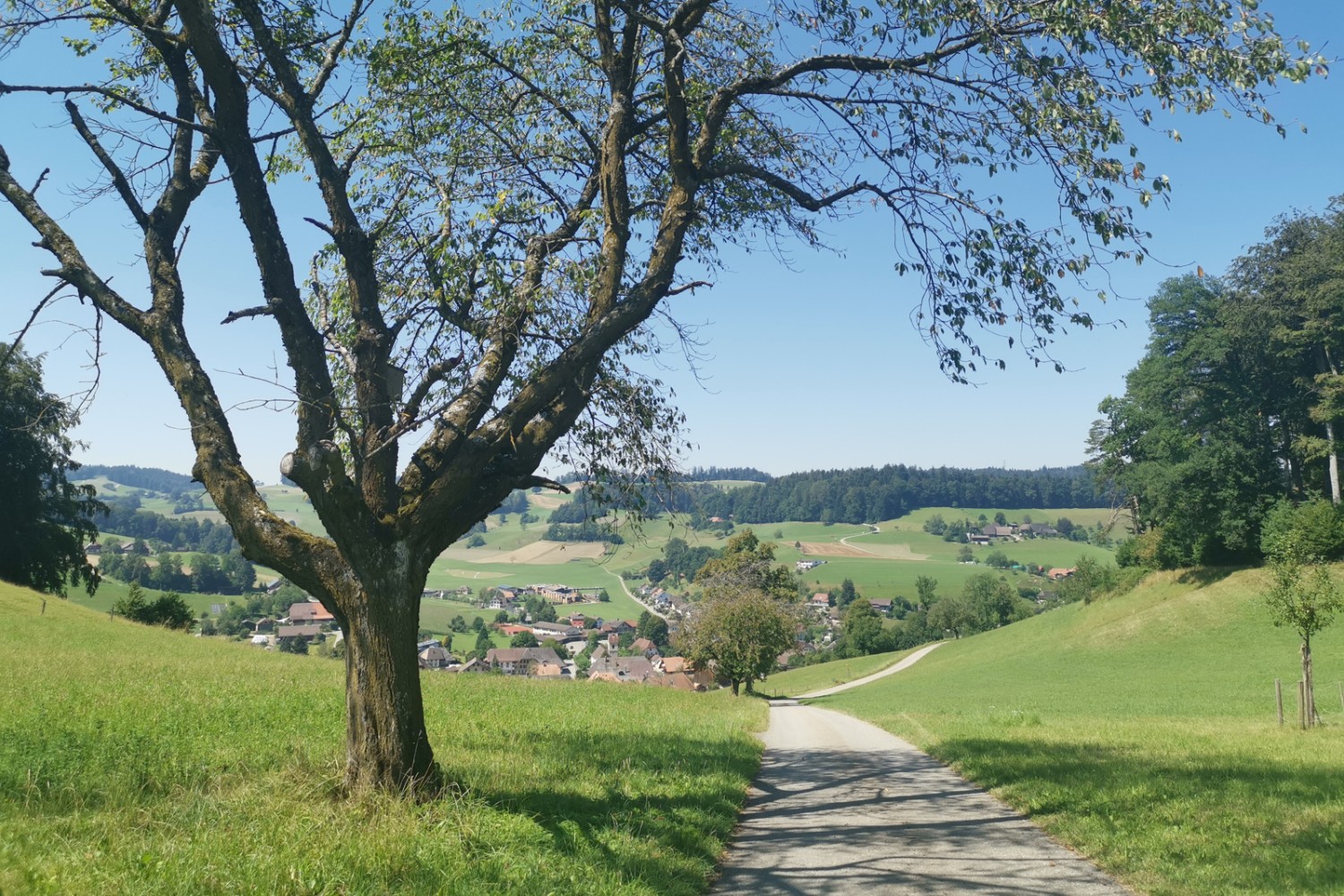 Discesa verso Ursenbach, la cui chiesa vanta pregiate vetrate d’importanza storica.