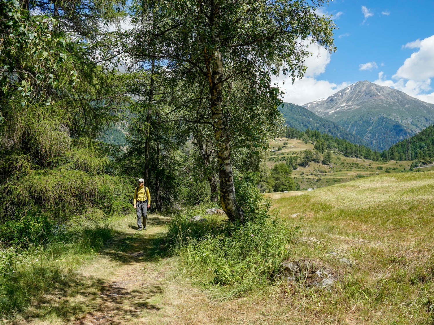 In einem schmalen Waldstreifen am Ufer des Inn. Bild: Fredy Joss