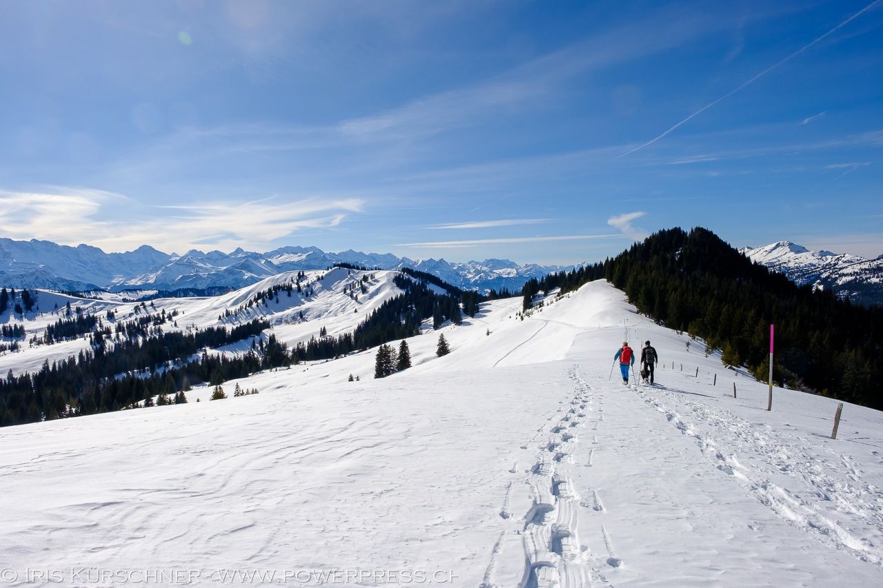 Am Kamm entlang über den Bolberg kann der Blick endlos schweifen.