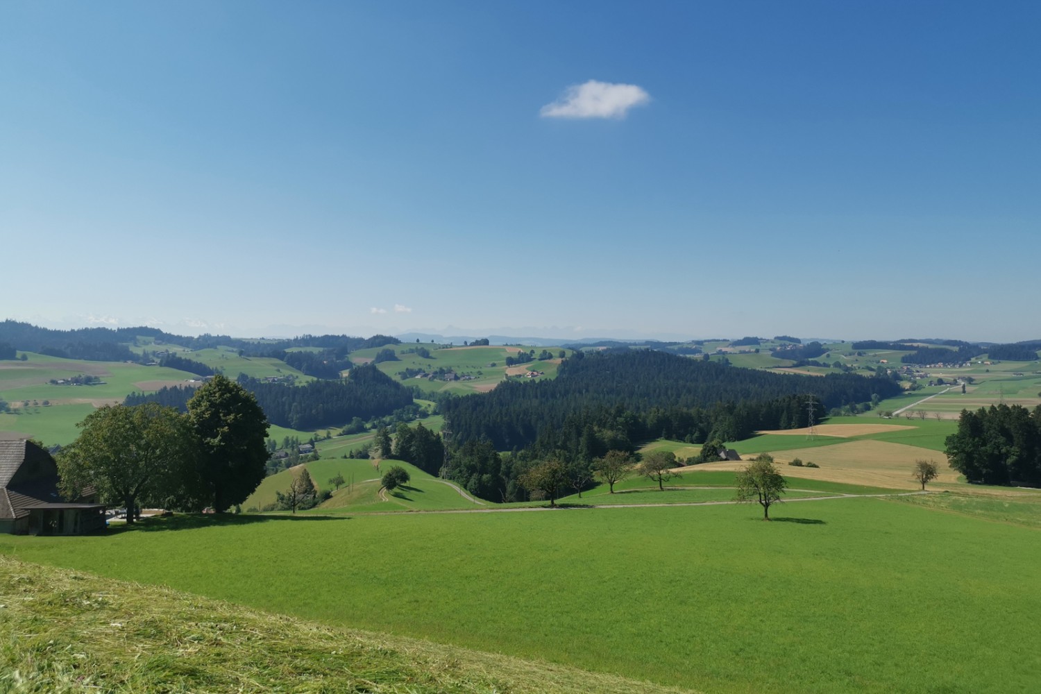 L'escursione conduce attraverso il tipico paesaggio collinare dell'Emmental..