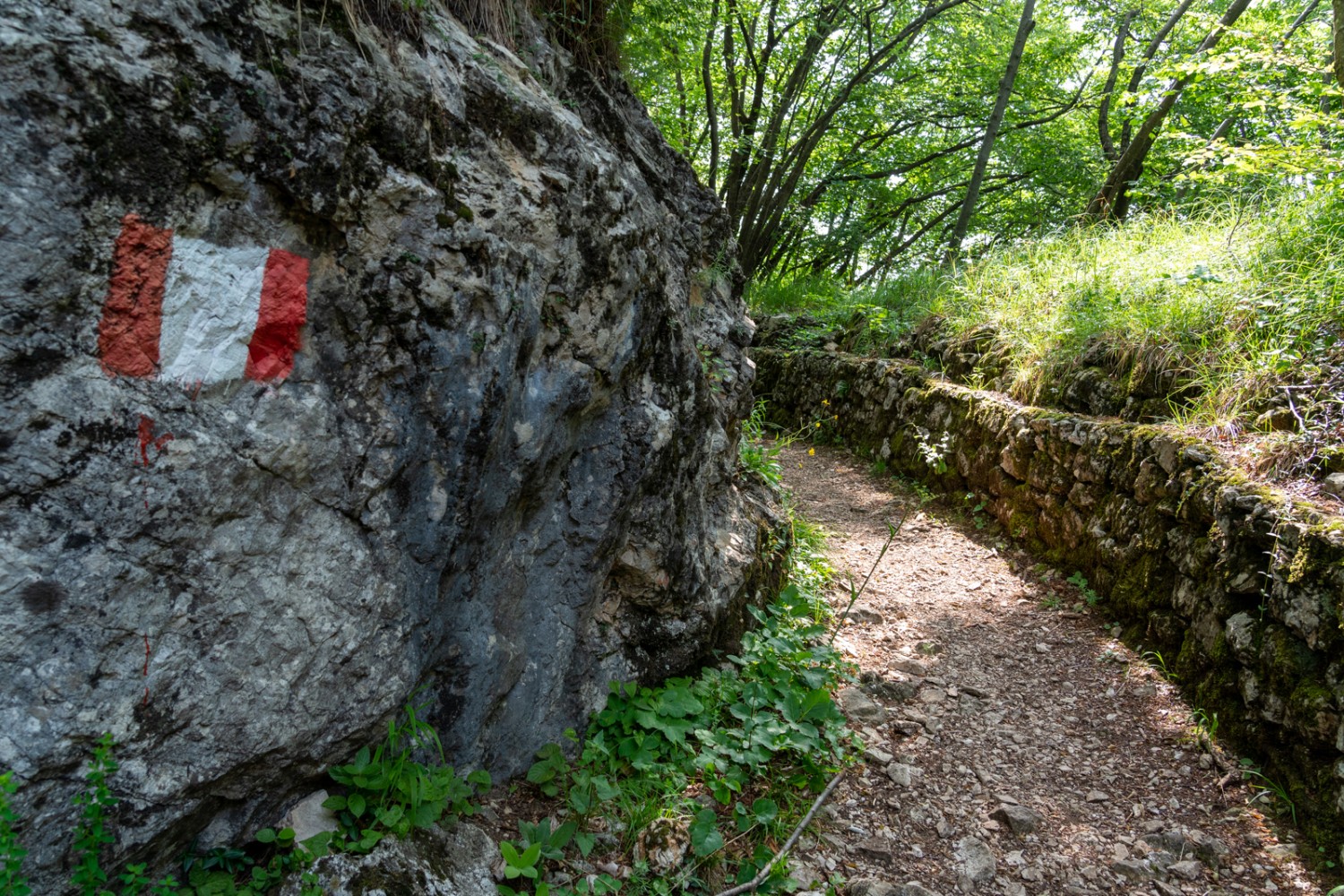 Trincee italiane sul Monte Pravello, al confine con la Svizzera, qui chiamato Poncione d'Arzo.