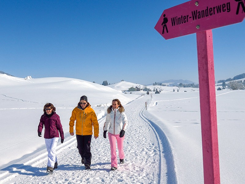 Auch im Winter ein reizvolles Wandergebiet: die Moorlandschaft Gontenmoos im Appenzellerland. Bild: appenzell.ch