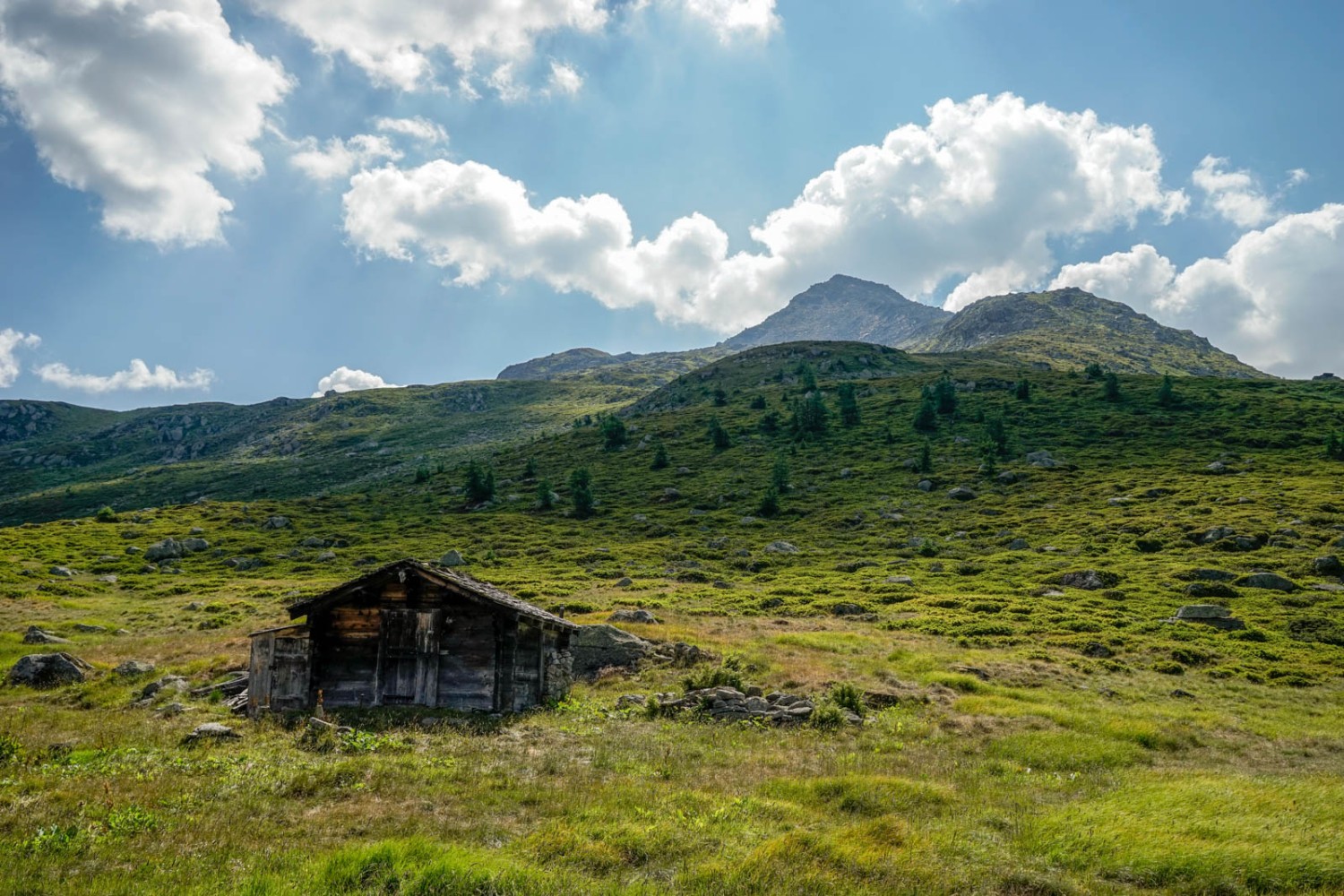 Auf dem Follebode, dahinter das Brudelhorn. Bild: Fredy Joss