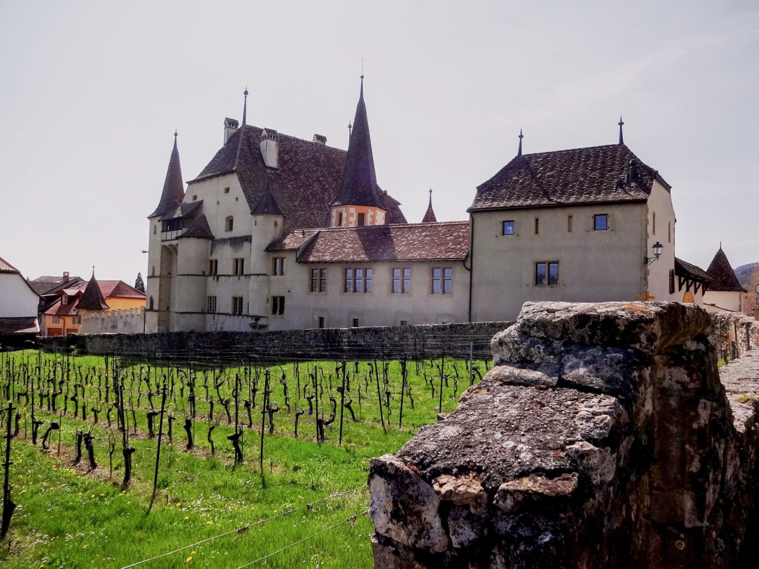 Das um 1610 erbaute Schloss Cressier ist von Weinreben umgeben.