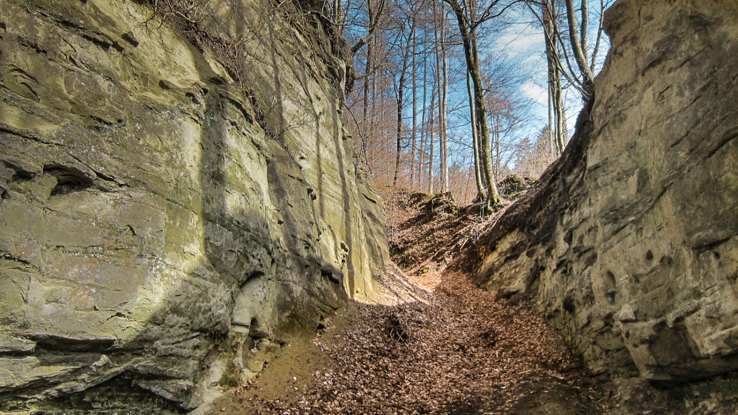 L’impressionante “Leuenhohle”: la Via Cava venne scavata a mano nella pietra arenaria nel Medioevo. Faceva parte dell’ex strada che portava a Lucerna. Foto: Gerhard Eichinger