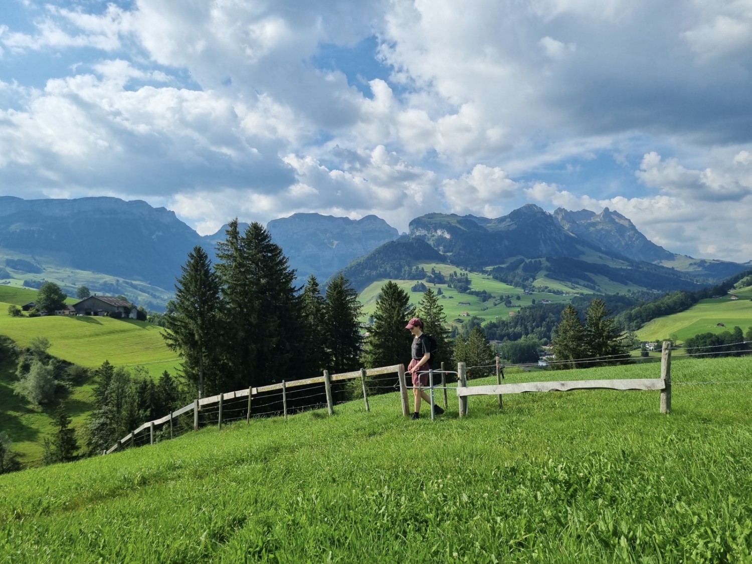 Sonnenverwöhnt: Die Rundwanderung führt meist durch sonnige Wiesenlandschaft. Bild: Natalie Stöckli