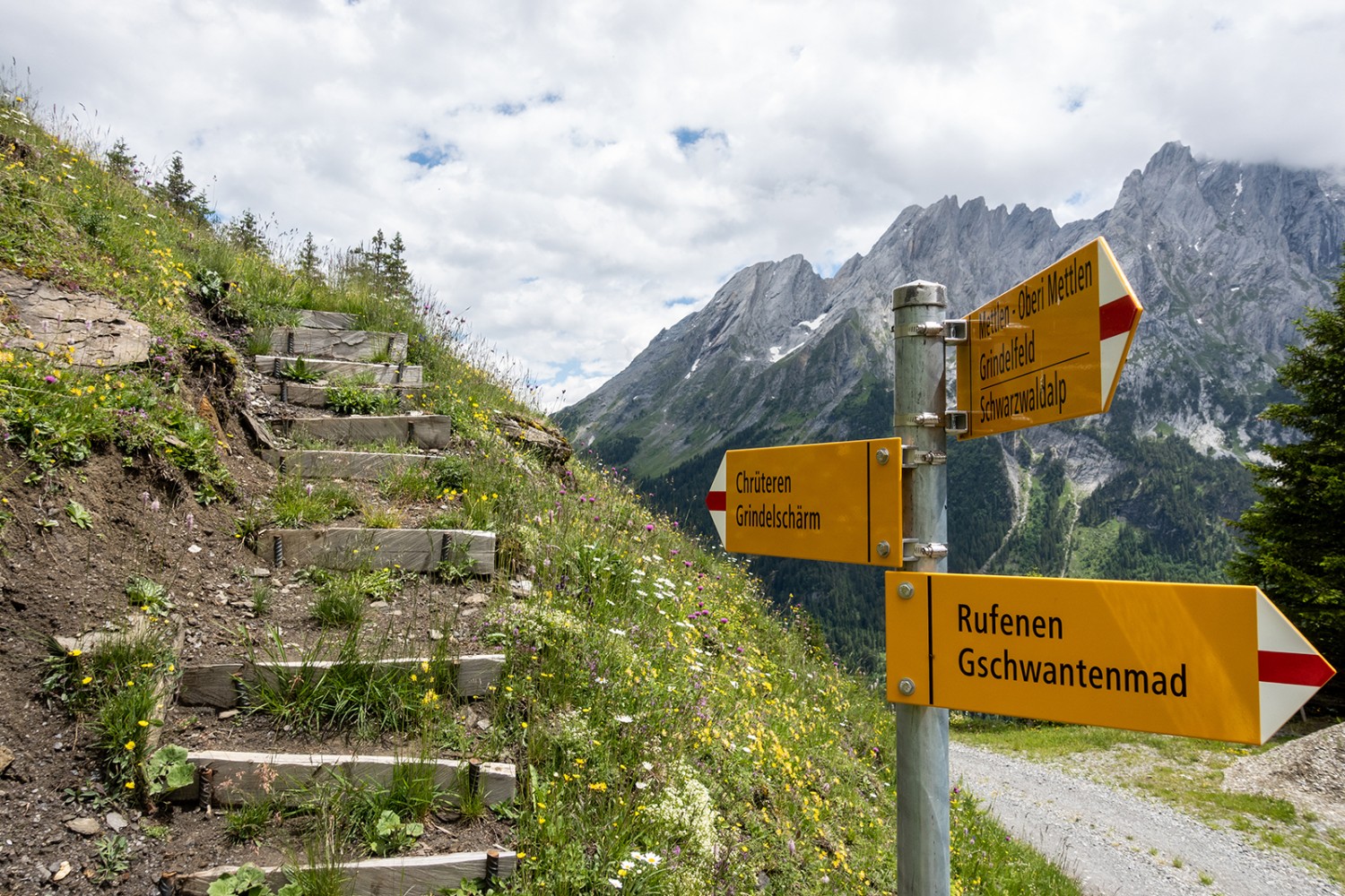 Die Alpstrasse (rechts) bei Mettlen war einst auch Wanderweg, der neue Weg (links) führt über Holzstufen hinauf ins Weideland. Bilder: Fredy Joss