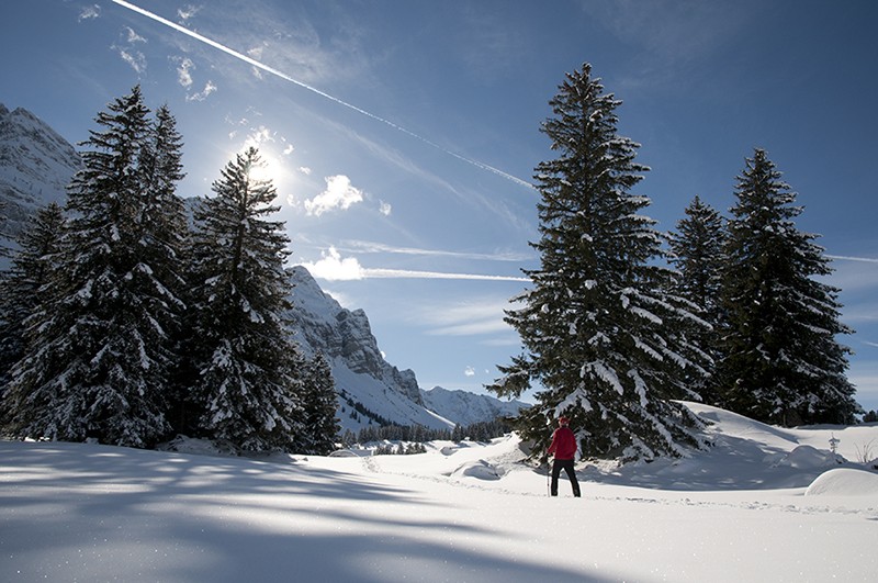 La strada tra Schwägalp e Kronberg è piacevole ma anche impegnativa. Foto: Heinz Staffelbach