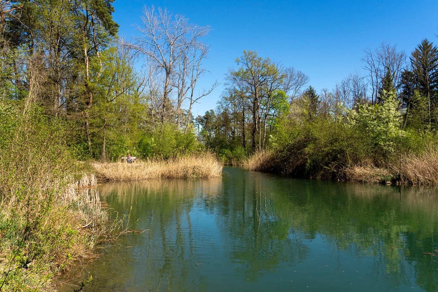 Eine Sitzbank am Ufer fürs Ausruhen und fürs Beobachten der Natur. Bilder: Severin Nowacki