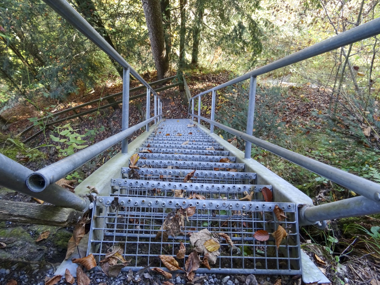 Le passage le plus difficile de la randonnée, une échelle de cinq mètres de haut surplombant une bande rocheuse. Photo: Sabine Joss