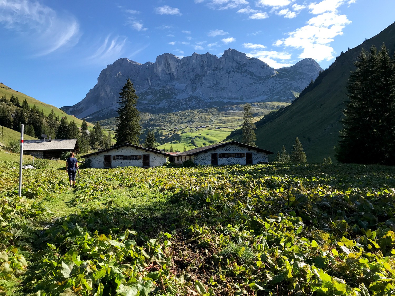 Blick zur Schijenfluh.
Bilder: Werner Forrer