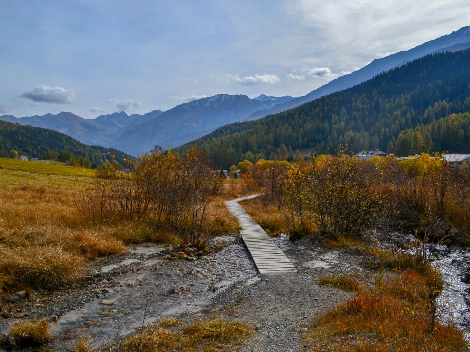 Sulle rive del torrente Rom presso Tschierv, poco dopo la sorgente. Immagine: Sabine Joss