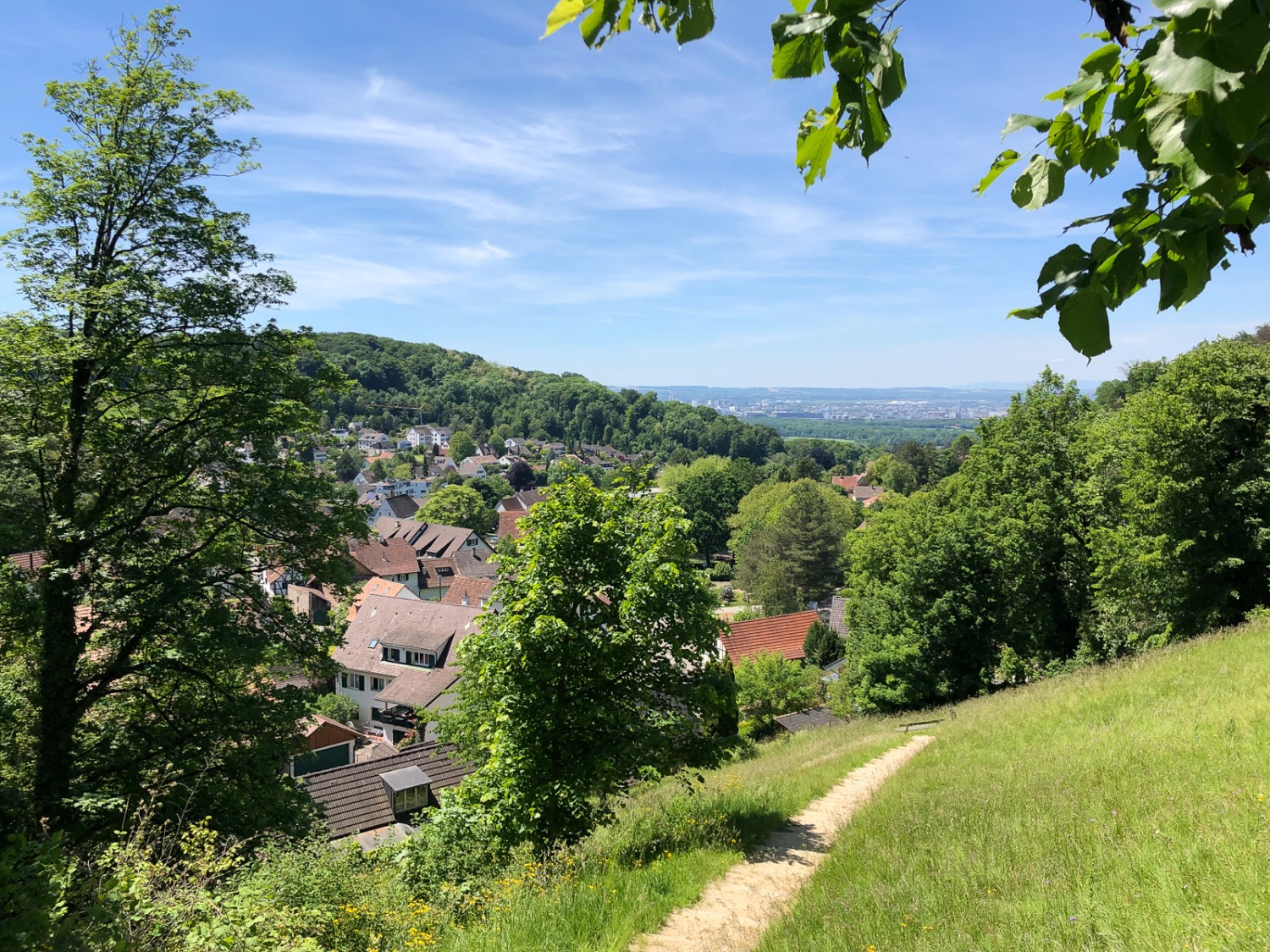 Veduta sulla collina di Tüllingen in Germania. Fotografie: Thomas Gloor