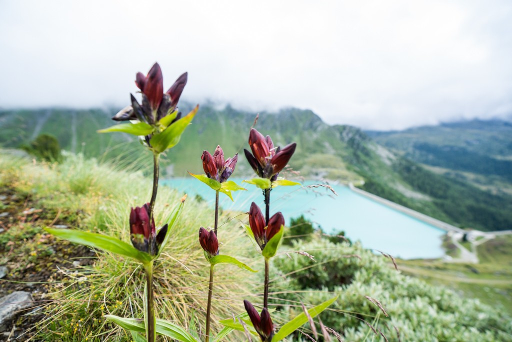 Hoch oben entlang der Bisse de Chervé mit Aussicht auf den Lac de Cleuson. Bild: Wanderblondies