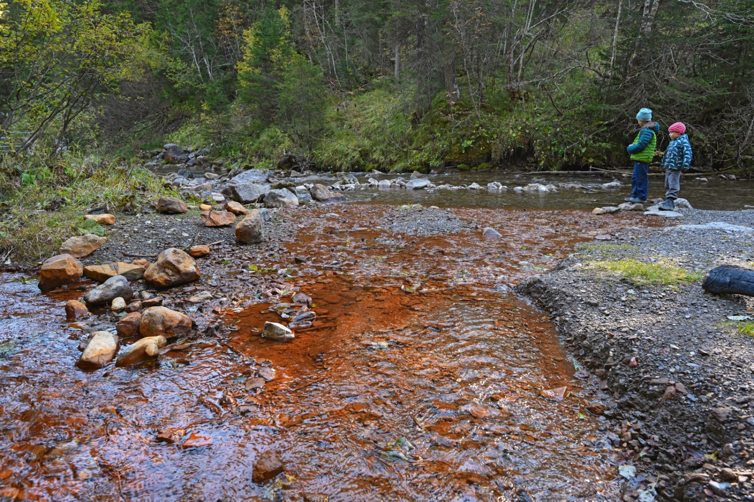 Das rote Wasser vermischt sich mit dem klaren der Vièze. Bild: natur-welten.ch