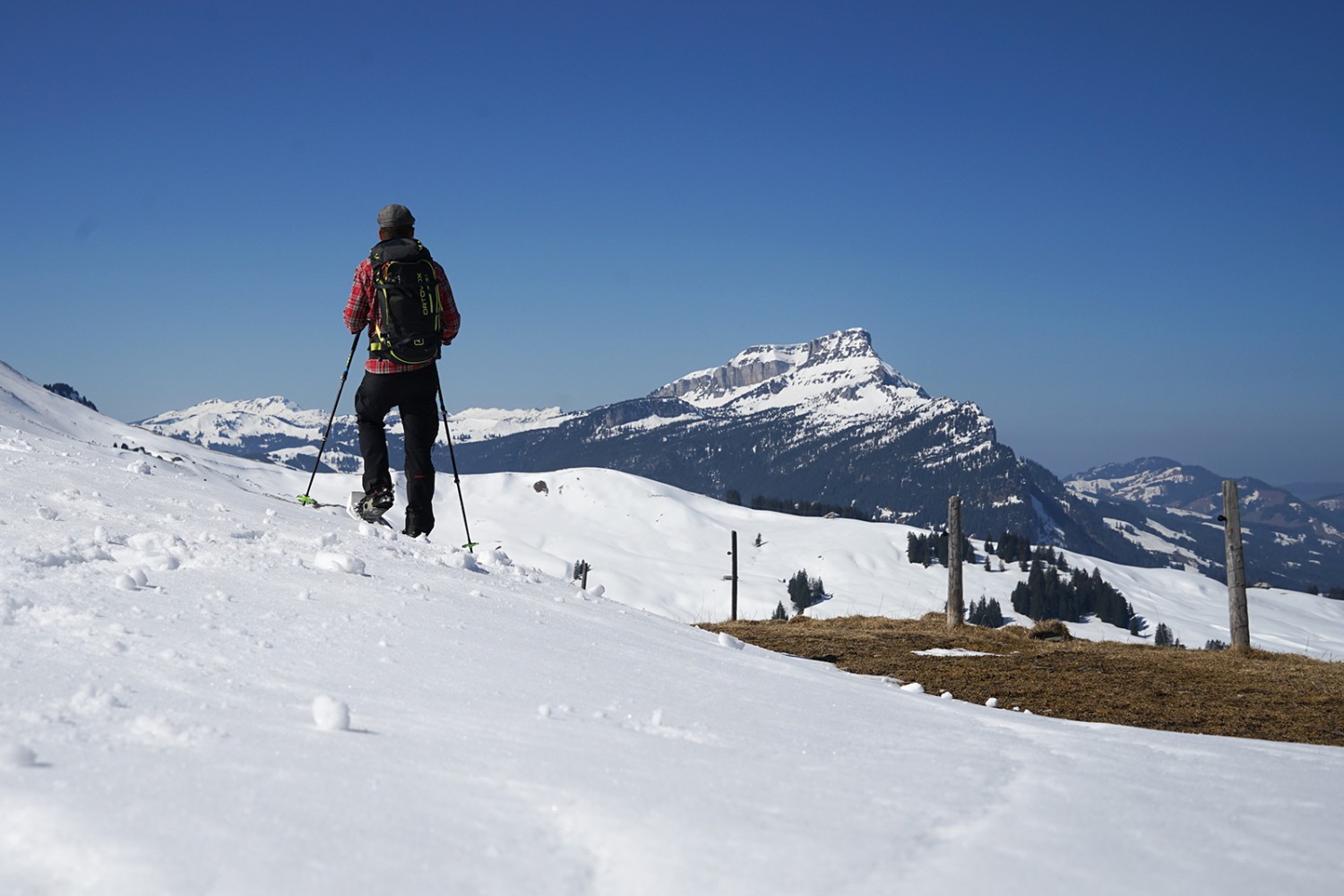 Dem Hohgant entgegen: Schneeschuhlaufen bei Blattenegg. Bilder: Reto Wissmann
