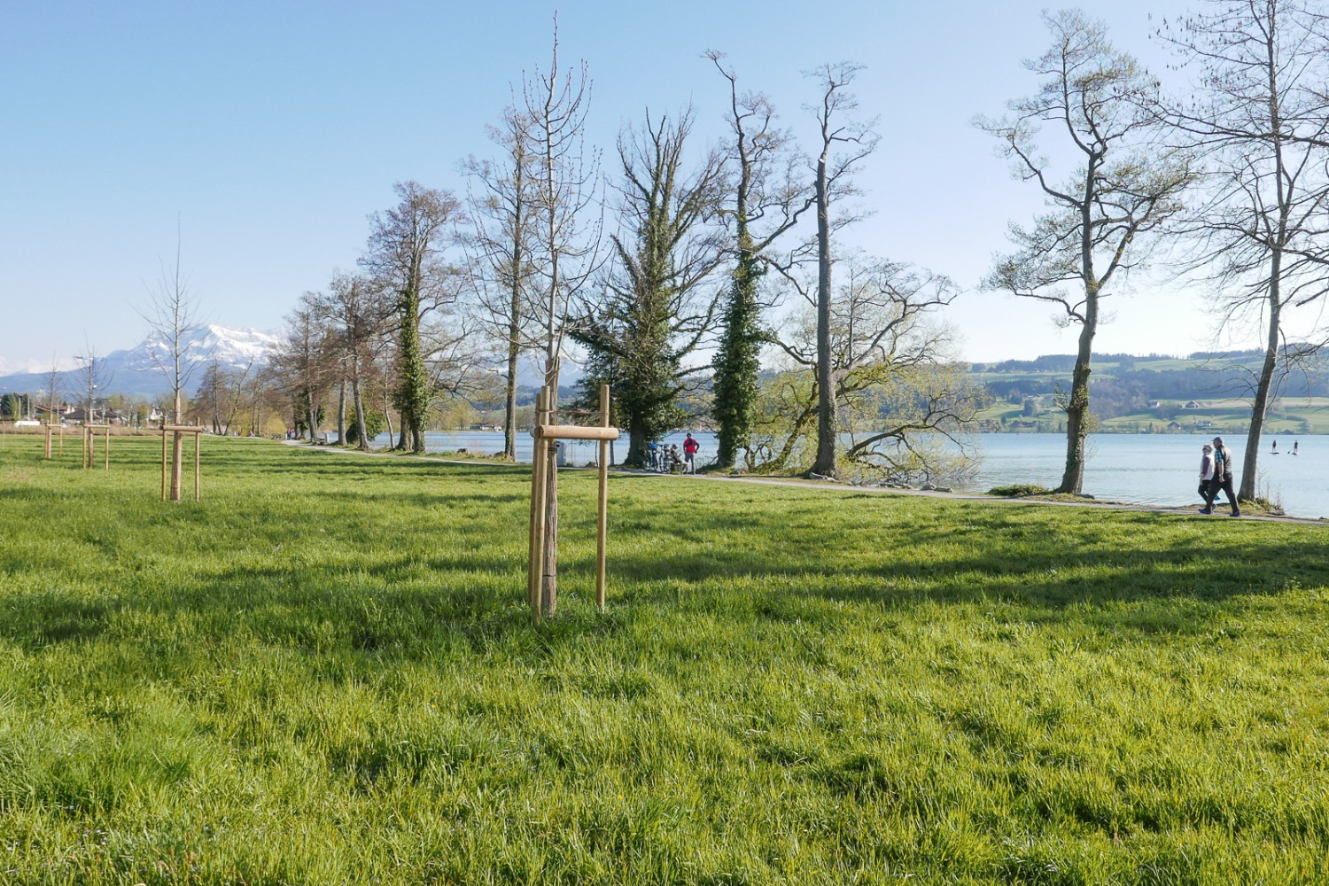 Il lago di Sempach invita a fare un rinfrescante pediluvio al termine dell’escursione. Foto: Susanne Frauenfelder