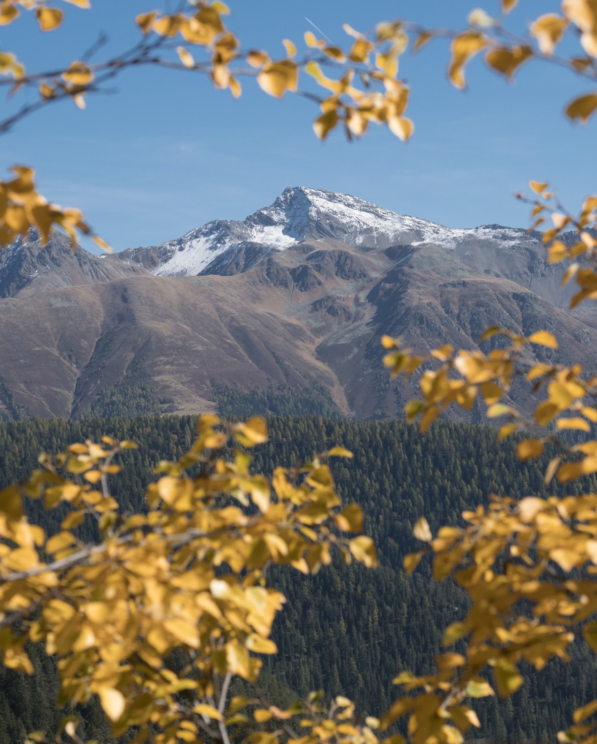 L’Älplihorn, au-dessus de Davos Monstein. Photo: Heinz Staffelbach