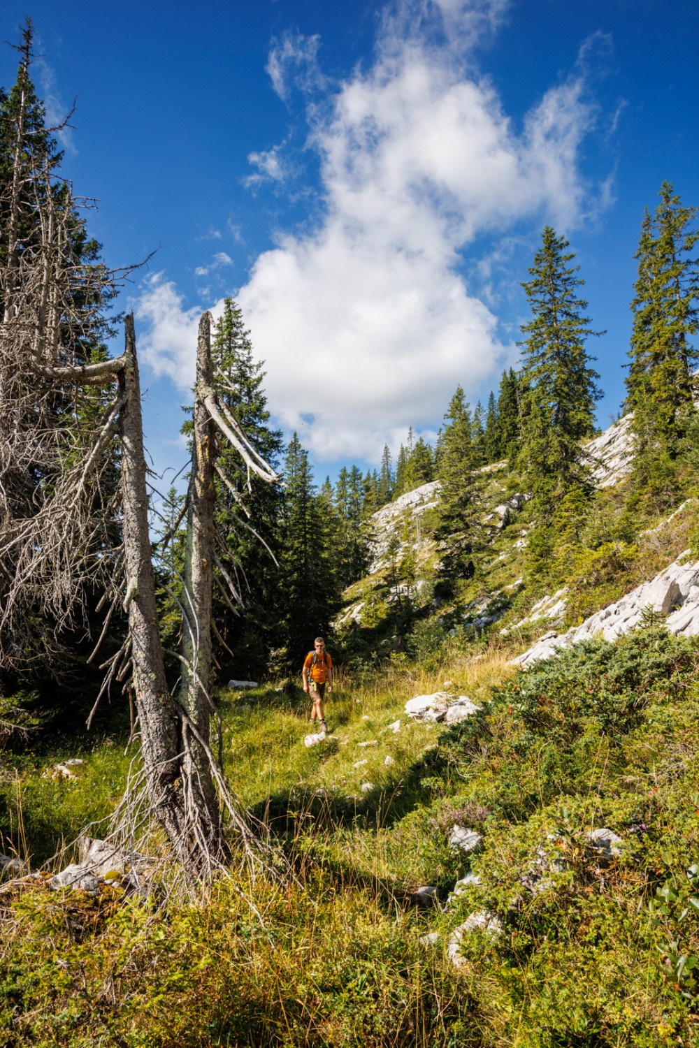 Karstwanderung auf die Schratteflue
