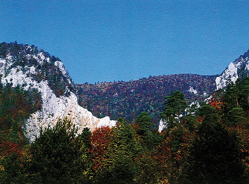 Blick von Oberdorf durch die Oberdörfer Chlus auf den Grat der ersten Jurakette. Bild: Franz Auf der Maur
