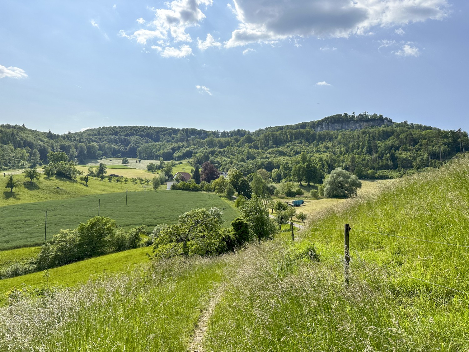 Schöner Wiesenpfad kurz nach dem Hotel Bad Schauenburg. Bild: Thomas Gloor