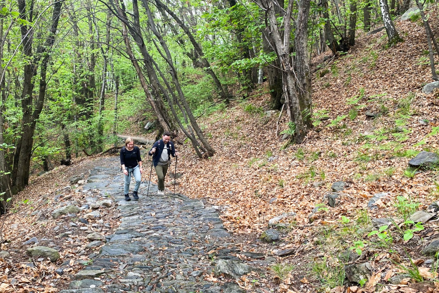 Tipico del Ticino: escursionismo lungo antichi sentieri lastricati in pietra attraverso castagneti. Foto: Loïc von Matt