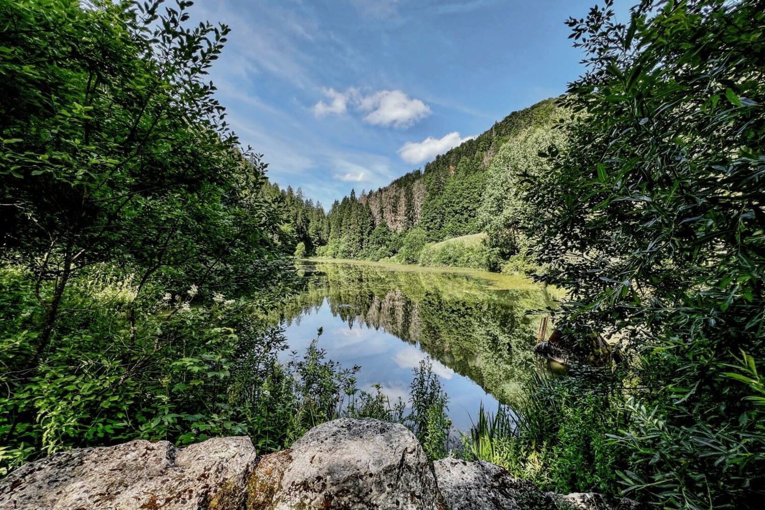 Der Etang de Bollement wurde im Mittelalter als Stauweiher zur Wasserkrafterzeugung angelegt.