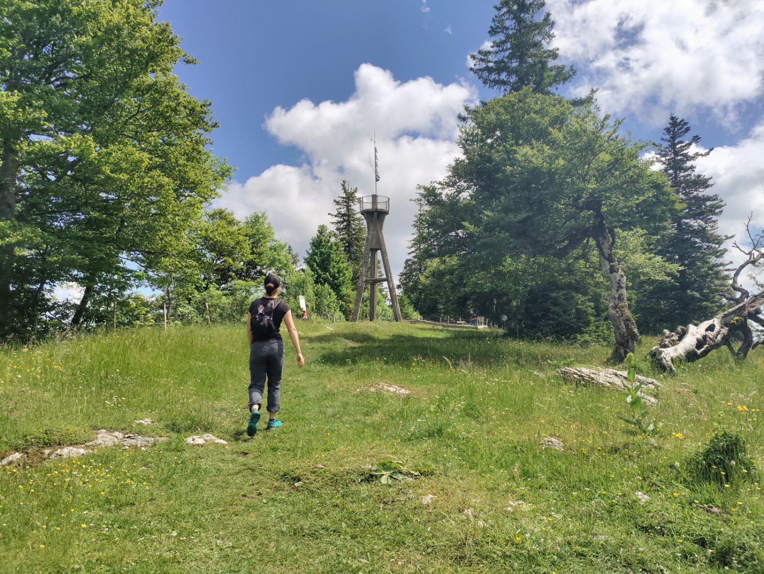 Kurz vor dem Gipfel: Auf dem Mont Raimeux lockt ein Aussichtsturm. Bild: Michael Dubach