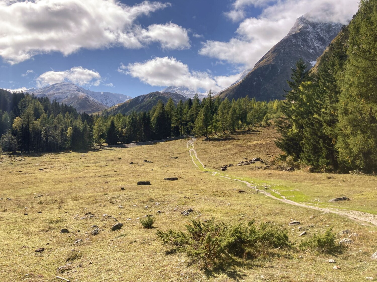 Pâturages et forêts alternent le long de la randonnée.