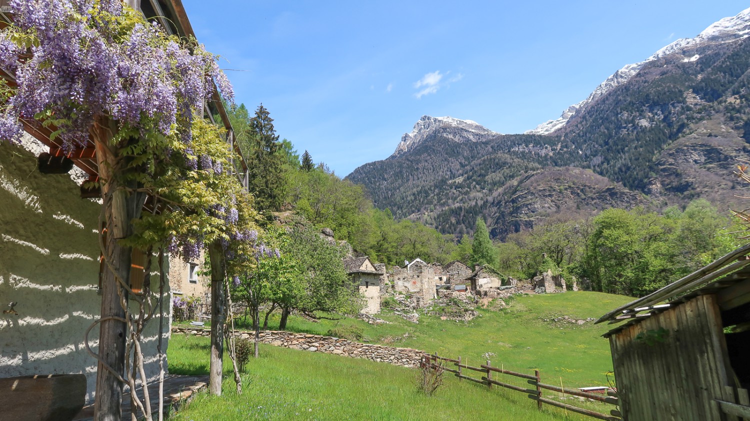 L’insediamento in rovina di Selvapiana che era abitato fino al 1900. Foto: Loïc von Matt