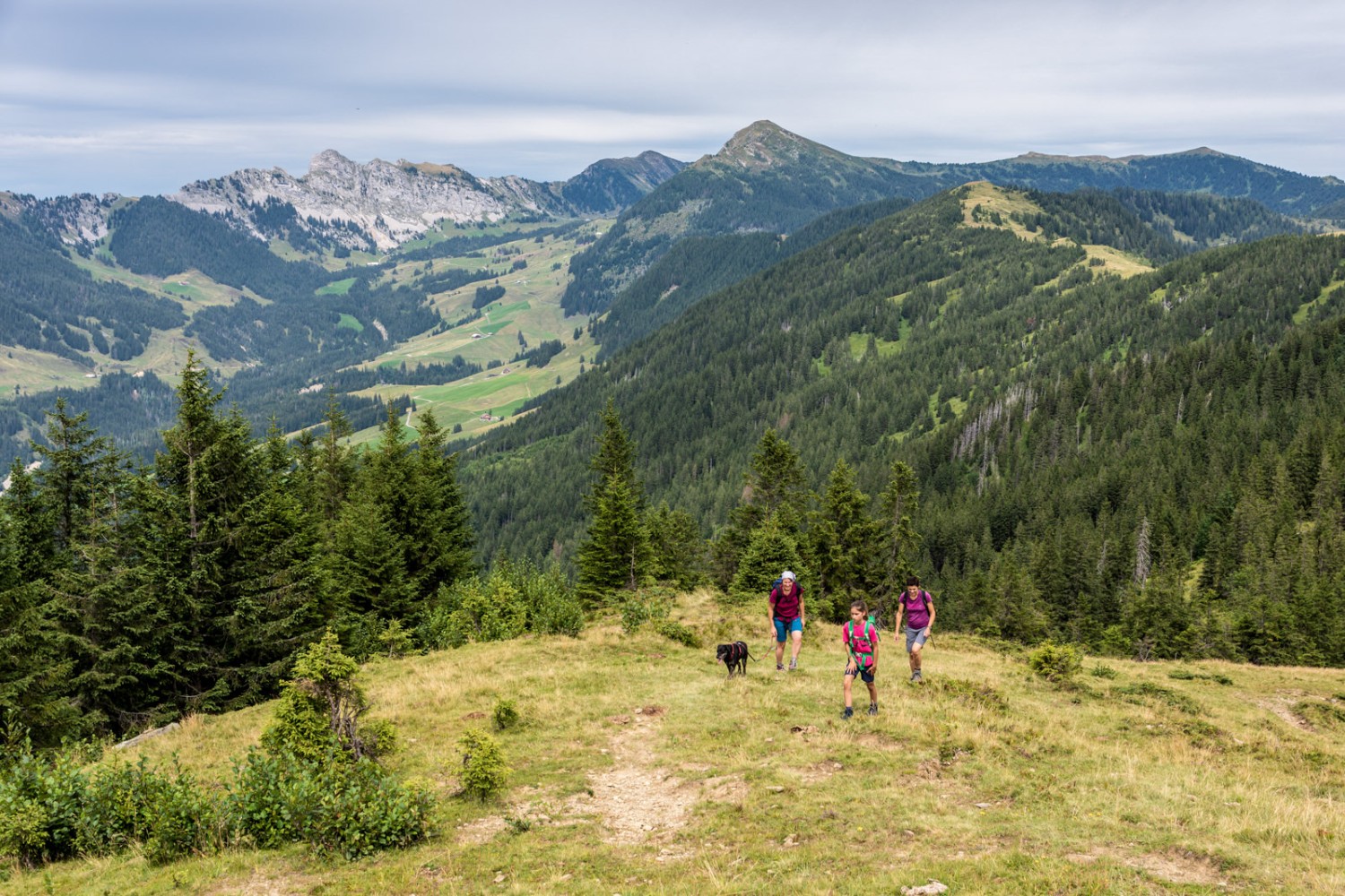 Am Haldimattstock. Bild: Franz Ulrich