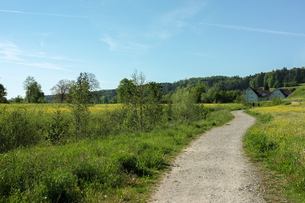 Dalla stazione direttamente nella natura: l'escursione inizia a Stettbach. Foto: Claudia Peter