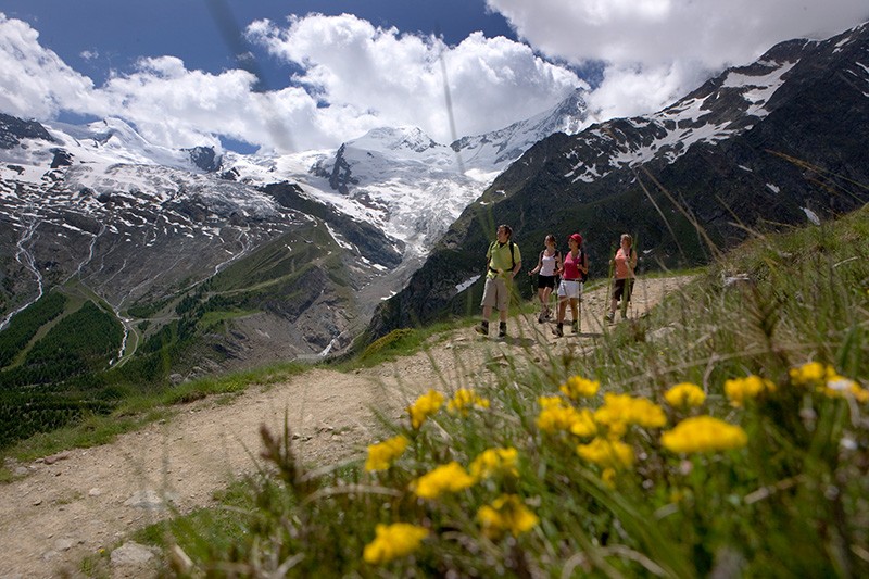 Frühlingserwachen auf der Hannigalp. Bilder: Martin Weiss