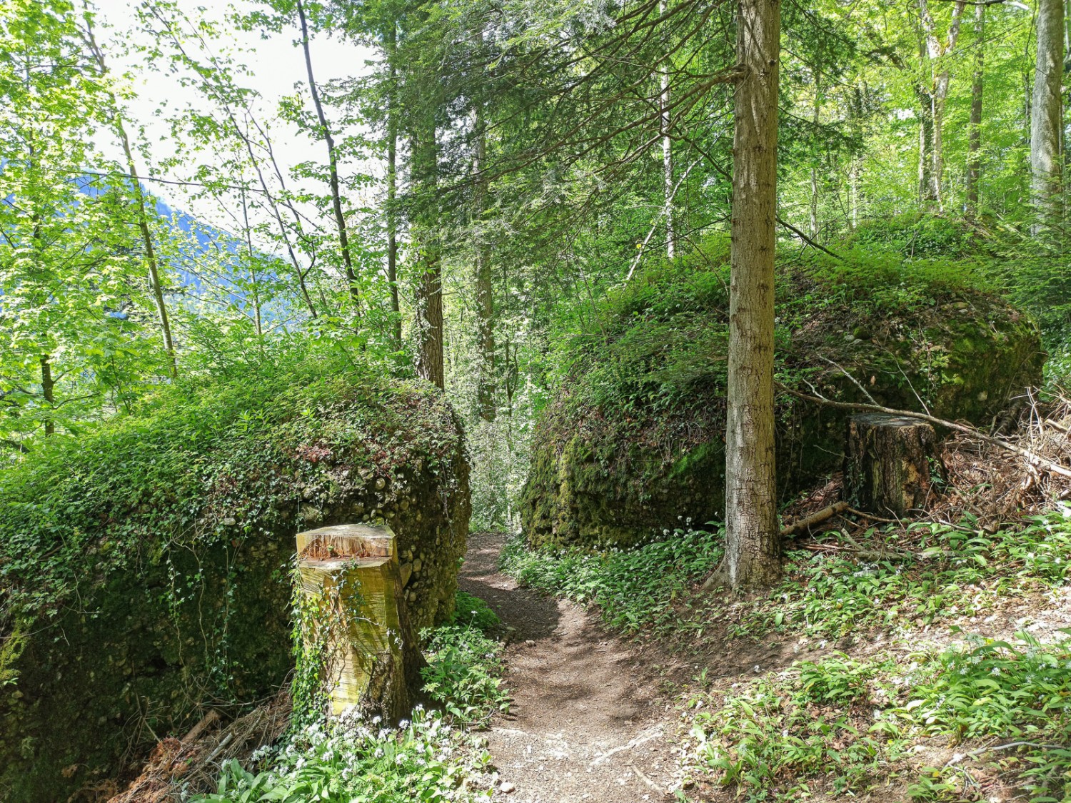 Auf dem Weg nach oben wird es manchmal eng zwischen den Felsblöcken. Bild: Michael Dubach