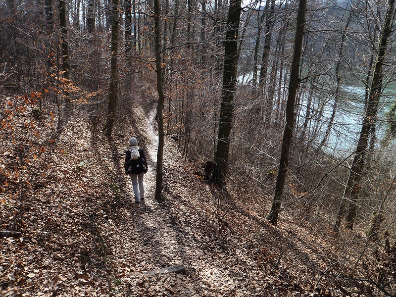 Durch den winterlichen Wald ist die Reuss erkennbar. Bilder: Marina Bolzli