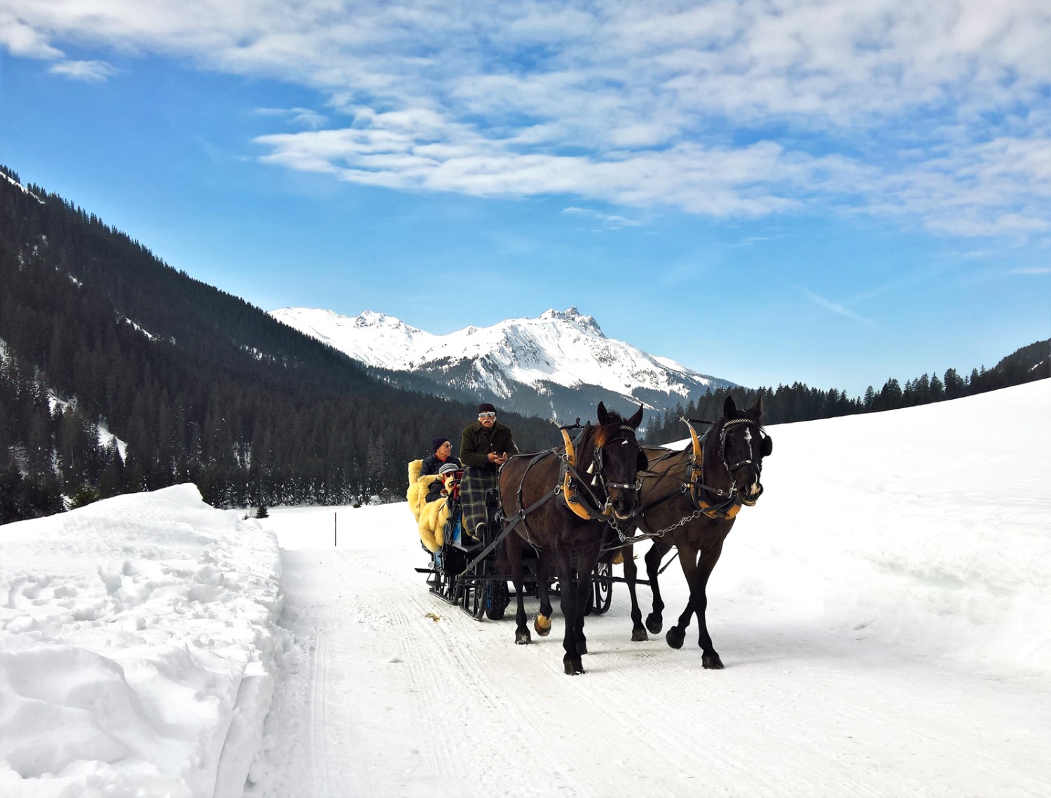 Gegenverkehr auf dem Winterwanderweg: Die Strecke wird auch von Kutschen genutzt. Bild: Andreas Staeger