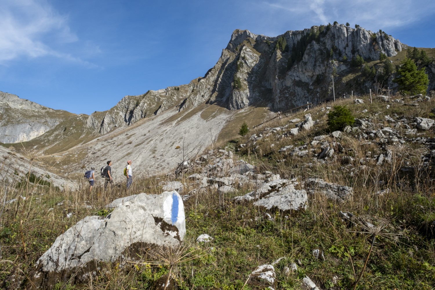 Blick von der Karmulde Maischüpfen zum Gipfel des Schopfenspitz. Bild: Markus Ruff