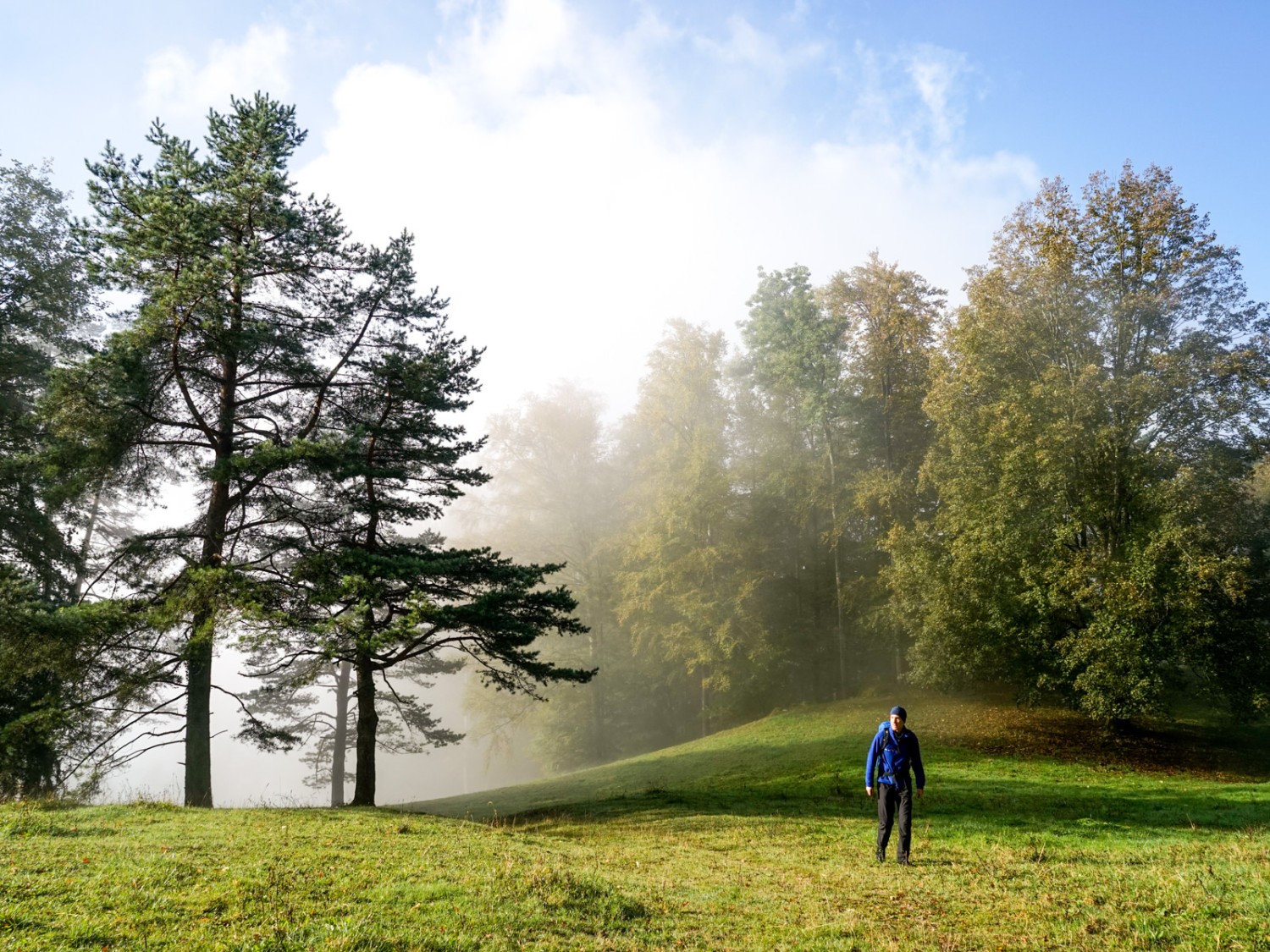 Wanderung ins Licht beim Aufstieg zum Mont Raimeux.
