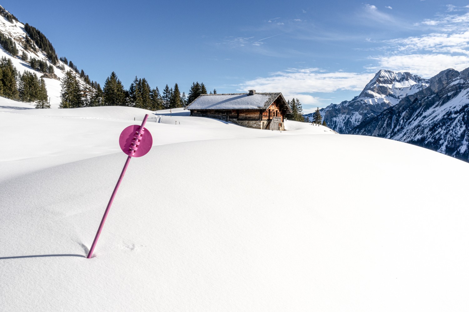 Die Alphütte von Le Rard mit dem Spitzhorn im Hintergrund. Bild: Fredy Joss
