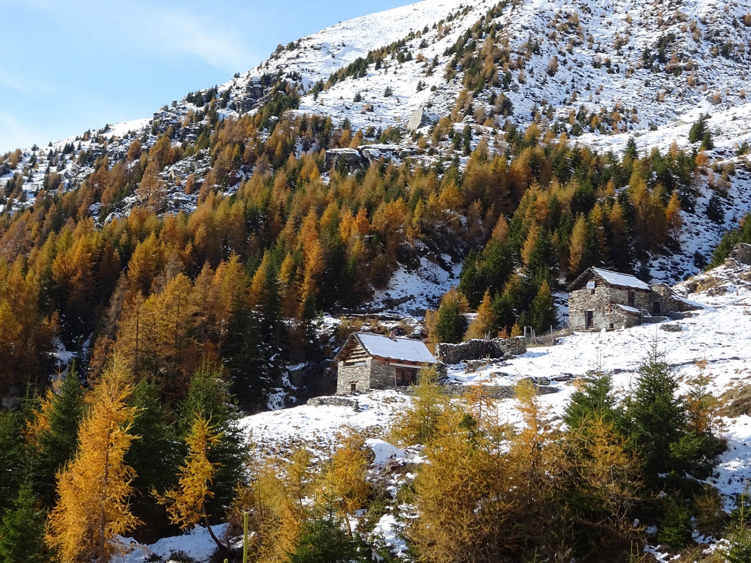 Bei der Alpe di Cióu.