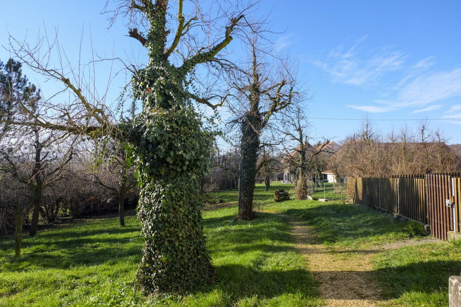 In Wenslingen führt der Weg mitten durch das Dorf und seine Obstgärten. Bild: Elsbeth Flüeler