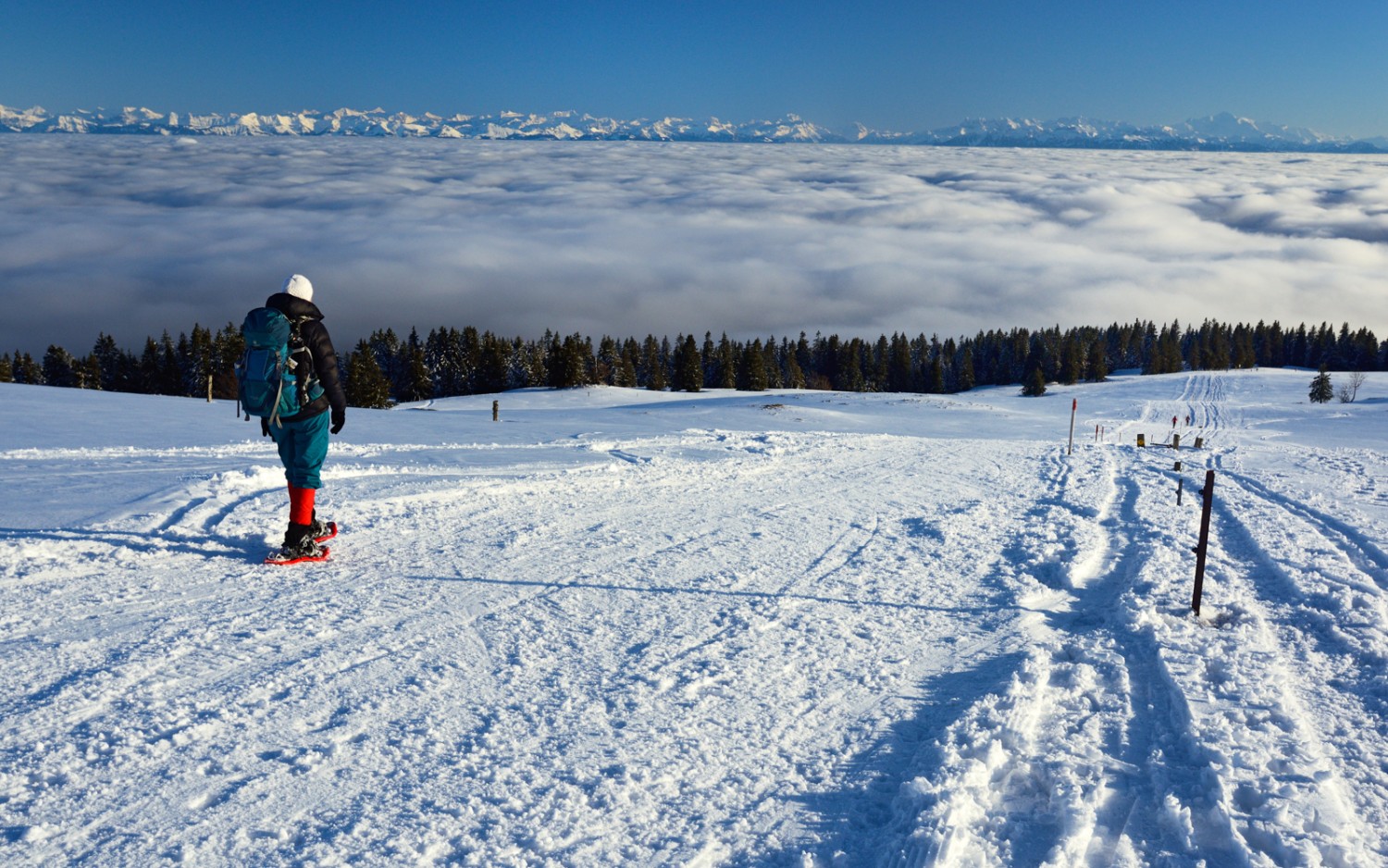 Wunderbare Aussicht. Bild: Natur-Welten 