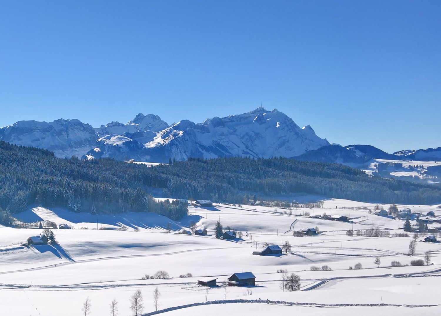 Ausblick zum Alpstein auf dem Weg zurück nach Gais. Bild: Andreas Staeger