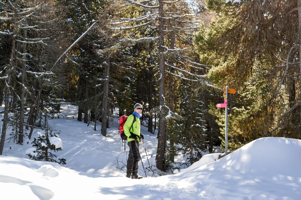 Sur la piste Waldegga, dans la forêt de mélèzes et d’aroles. Photo: Sabine Joss