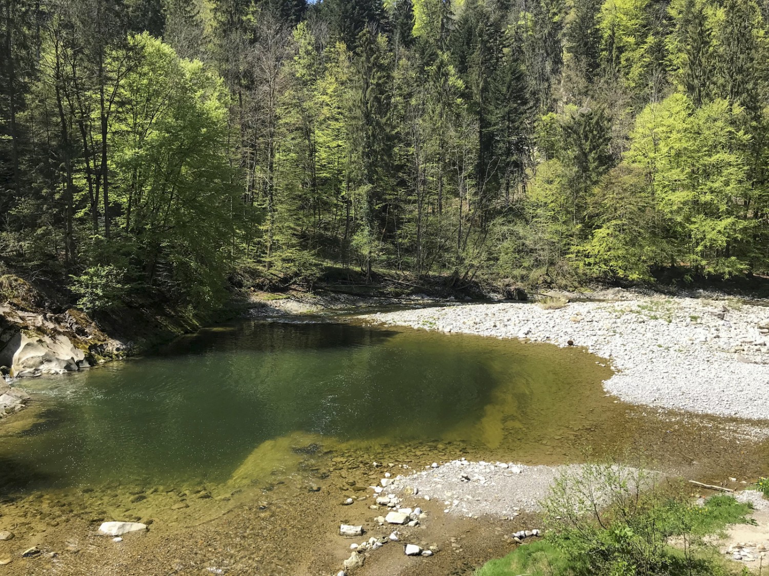 Le lieu de baignade Strom, où le Rotbach se jette dans la Sitter. Photo: Sabine Joss