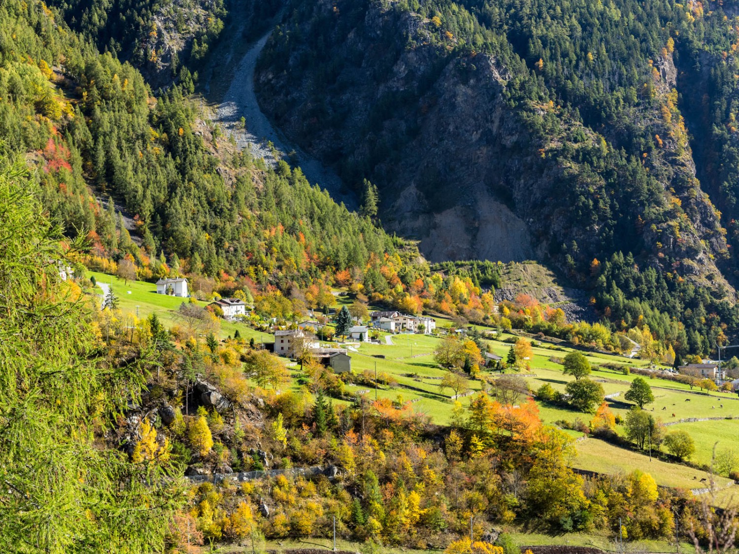 Herbst im Val Poschiavo. Bild: Daniel Fleuti