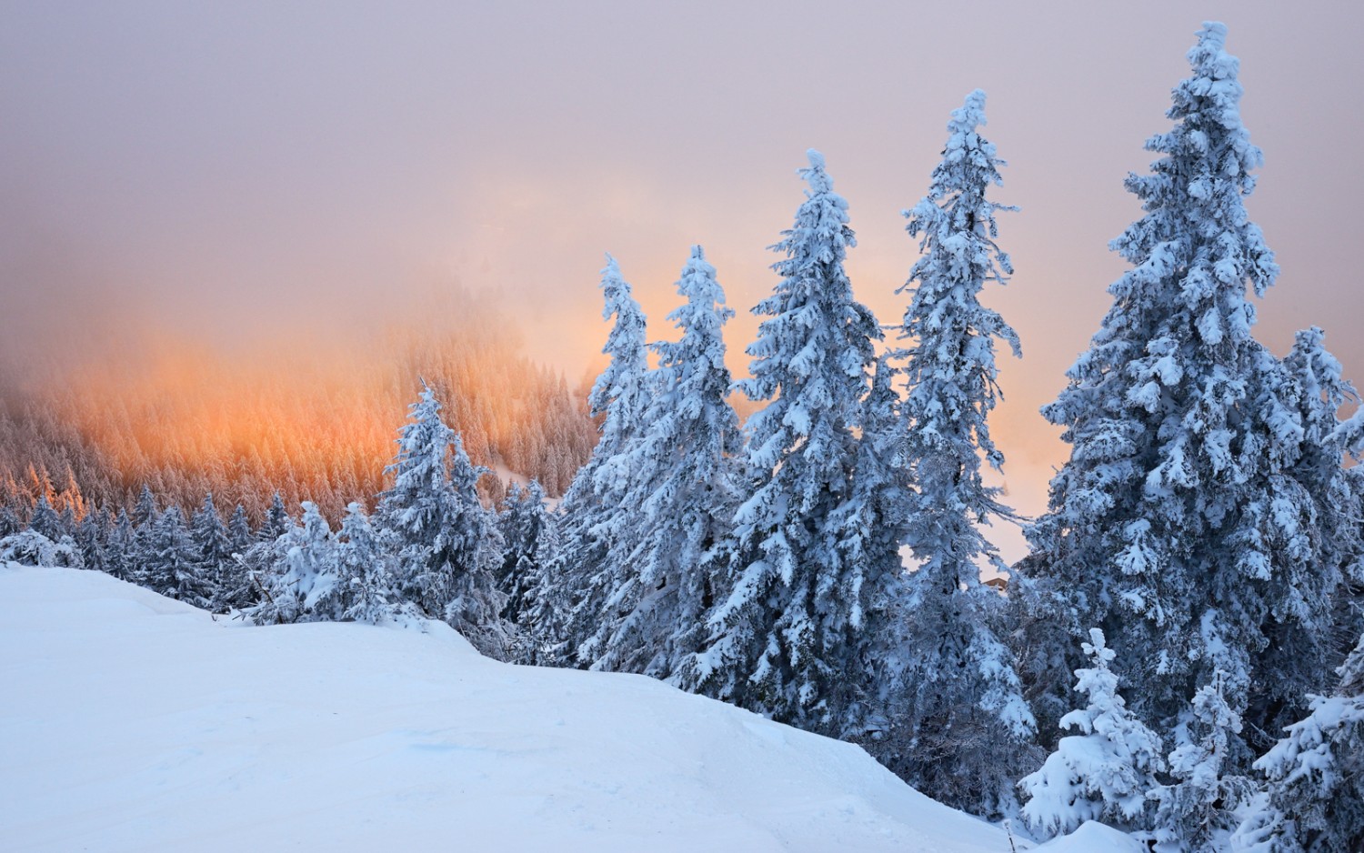 Der Aufstieg von Les Rasses führt in eine märchenhafte Winterlandschaft. Bild: Natur-Welten 